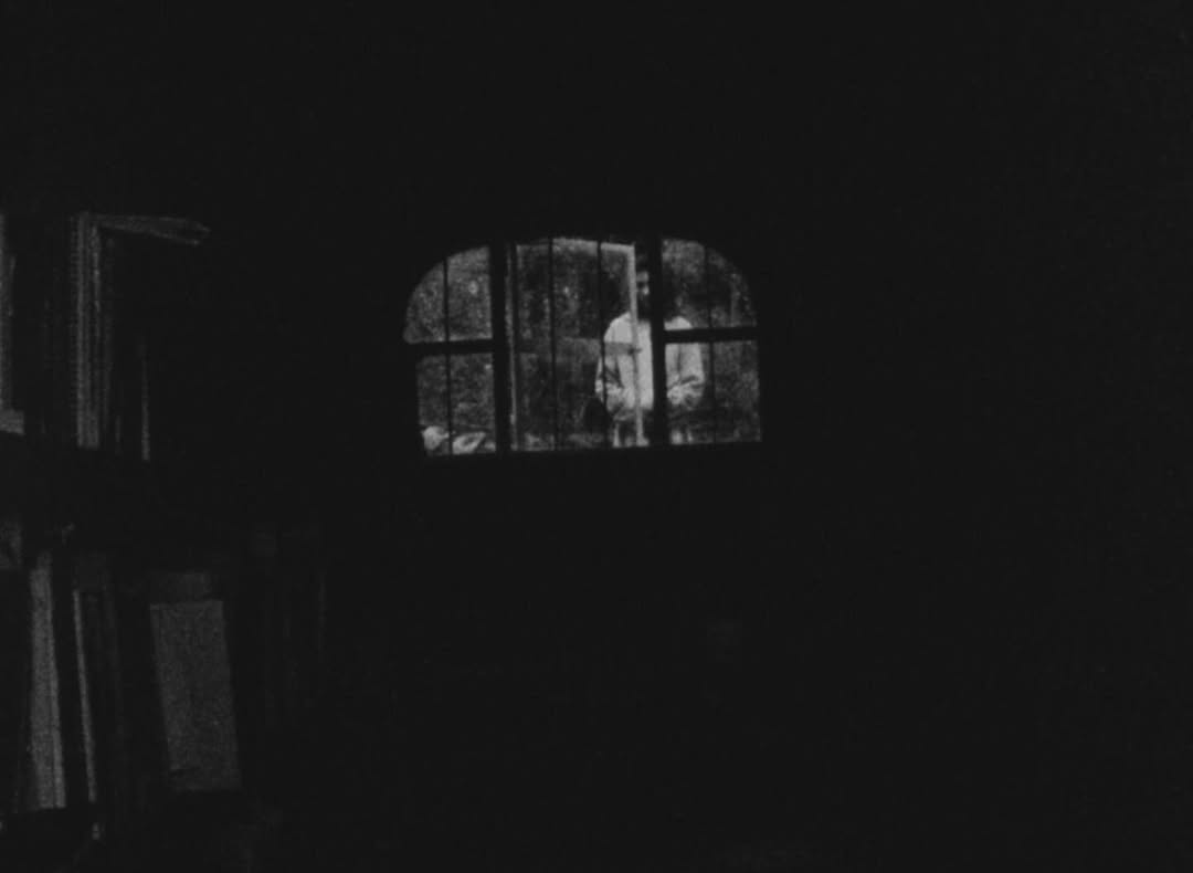 Still from SUNSETBLOOMSASIFAFLOWER